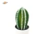Import High quality everyday EVA green tabletop indoor artificial cactus plant in plastic pot for home decoration from China