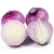 Import High quality fresh new crop red onion from China