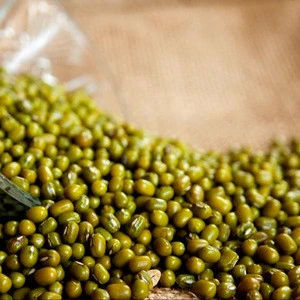 High quality Thailand origin Green Mung/Vigna Beans for bulk supply