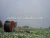 Import hose reel irrigation machine with travelling big rain gun/sprinkler irrigation for sale from China
