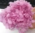 Import Hot Artificial Eternal Hydrangeas Peserved Flower for Home Decoration from China