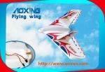 hot new product: Remote control EPP aircraft toy