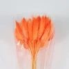 Hot Sale Different Color Rabbit Tail Dry Flower For Home Decoration Or Gift