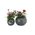 Import Hot Sale New Product Wicker Plant Pots Round Flower Wicker Baskets For Plants from China