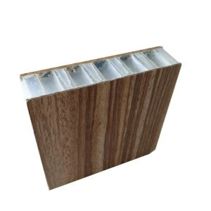 Hot Sale Plastic Sandwich Panel and Core for Prefab Houses Bathroom and Interior Wall Paneling