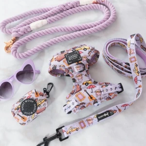 Hot Selling Dog Leash Set Six-piece Adjustable Accesorios Para Perro Collares De Perro