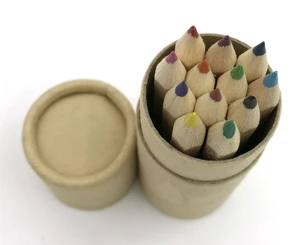 Hot selling mini colored pencil set in recycle case