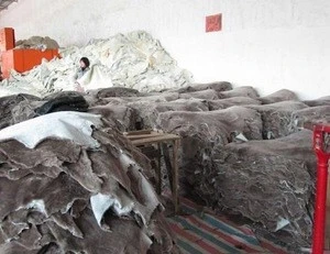 Hot!! Wet And Dried Salted Cattle Hides | Cow Skins /Buffalo Hides /Donkey Hides for sale in stock