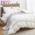 Import Hotel Bedding Microfiber Polyester Down Alternative  Filling Export Thick Quilt Wholesale  For Sale Made In China Factory from China