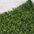 Import Hotsale outdoor uv resistant nontoxic wall plants artificial  Simulated plant background wall from China