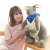 Import ICTI china factory wholesale Australia inflatable kangaroo skin meat plush stuffed toys for kids 2018 from China