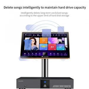 InAndOn 4K Touch Screen HDD Home Karaoke System Online Movie Smart Song-Selection KTV Karaoke Player