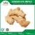 Import Indian Suppliers Wholesale Ginger Essential Oil At Low Price from India