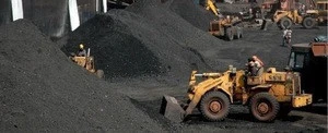 Indonesian Steam Coal/Coal/Steam Coal for sale now