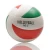 Import indoor adult training or outdoor beach Volleyball from China