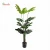 Import indoor decoration stomium tree artificial plant tree monstera plant from China