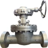 Industrial Gate Vales Worm Gear Operated Flange OS and Y Gate Valve pn16 with price made in china