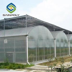 Intelligent film greenhouse manufacturers installation design greenhouse