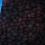 Import IQF Fruit Frozen Blackberry from China