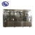 Import ISO certificated juice making and packaging machine from China