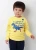 Import Kid cotton fleece cartoon pattern  custom printed  boy O-neck hoodies from China