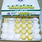 Korean Pear Fresh fruit Pear Chinese gong/kings crown zhaoxian