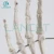 Import LANCET 2020Joint model Medical education plastic Hand model High quality Teaching Life size hand model from China