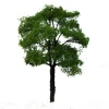 landscaping materials 3pcs N HO scale miniature wire iron model tree S-I 3