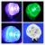 Import Led Grow Lights RGB Controller Submersible Waterproof 1W Underwater Aquarium Spot Light from China