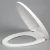 Import LPA 066 New sanitary ware design PP soft close slow down toilets seats from China