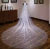 Import Luxury Sparkling Sequins Veil Wedding Veil Bridal Long New One-layer Veil 15-30days Appliqued Lace Edge 3 Pcs Quality Is High from China