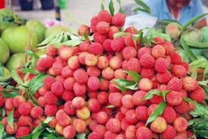 Lychee fresh fruit