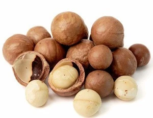 Macadamia nuts in shell for sale at low cots.