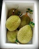 Malaysia Premium Fresh Musang King Durian D197