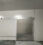 Manual and electric easy to operate sliding door cold storage room door sliding door for cold room storage