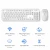 Import Manufacturer custom wholesale best selling Compact Full Size  2.4G Wireless Keyboard Mouse Combo for Windows, Computer, Desktop from China