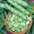 Import Manufacturer directly supply bulk fresh green broad beans for sales from Bulgaria