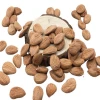 Manufacturer wholesale bitter almond nuts for sale  bitter apricot seed