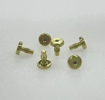 Manufacturing golden titanium-plated dental mini screws