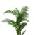 Import Manufacturing Suppliers 170cm Indoor Outdoor Decorative Plastic Artificial Palm Bonsai Tree Plants in Pot from China