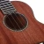 Import Mauloa Professional Rosewood Mahogany Pin Bridge Daddario Strings Enya Guitar Ukulele from China