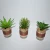 Mini Plant In Ceramic Pot Elegant Lifelike Decorative Artificial Succulent