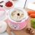 Import Mini simmer/multi-function electric cooker for home from China