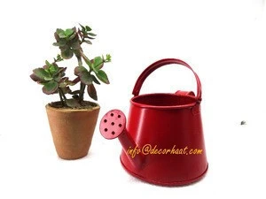 Mini Watering Can - Galvanized Watering Can for Succulents - Decorative Red color Watering Can