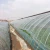 Import Multifunctional Film Agricultural Greenhouse Plastic Film from China