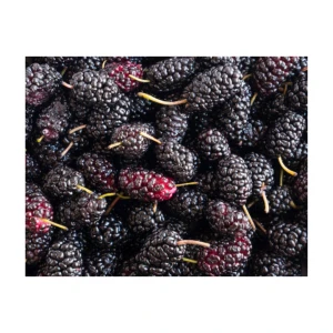 Natural Juice Mulberry Pulp Juice Syrup Concentrate