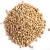 Import Natural Raw Barley / Malt /Human Consumption / Animal Feed from South Africa