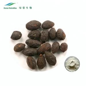 100% natural saw palmetto seeds / Fruit extract powder