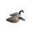 Import New arrive EVA flocking and unflocking  fold canada&#39;s  goose  hunting decoys from China