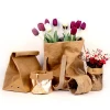 New brown kraft paper carrier storage bag for planet or toy wholesale toy washable kraft paper storage bag